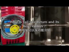 Explosion Proof Electric Actuator IP68 CSA Power-off Reset Modbus